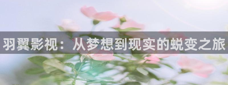 68影院免费观看电视：羽翼影视：从梦想到现实的蜕变之旅