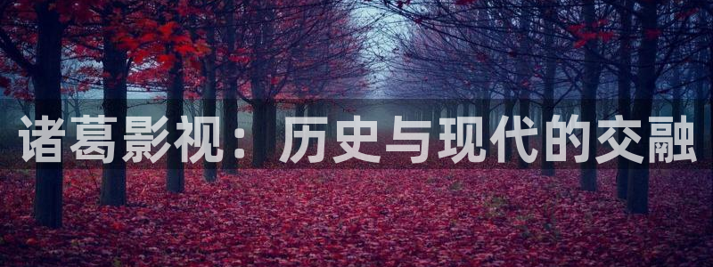 68影院在线观看免费播放电视剧：诸葛影视：历史与现代的交融