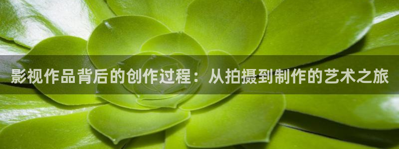 yy4686青苹果影院：影视作品背后的创作过程：从拍摄到制作的艺术之旅